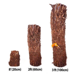 Tree Fern Dicksonia Antarctica Log -You Garden 500071 8