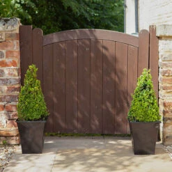 Pair Of Buxus Box Pyramids 10 Pair Of Buxus Box Pyramids -You Garden 510034 2