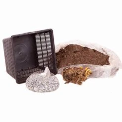 Water Lily Planting Kit - Pink 9 Water Lily Planting Kit - Pink -You Garden 580026 4