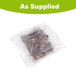 Ranunculus Mix 5 Ranunculus Mix -You Garden 600214 2