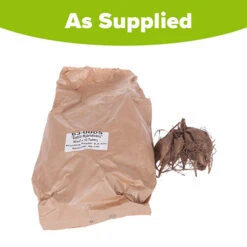 Mixed Dahlias - Hybridisers Mix 5 Mixed Dahlias - Hybridisers Mix -You Garden 630005 2