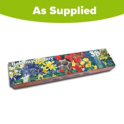 Blooming Fast Drop In Bulb Planter Balcony Beauty Pack 13 Blooming Fast Drop In Bulb Planter Balcony Beauty Pack -You Garden 630107 6