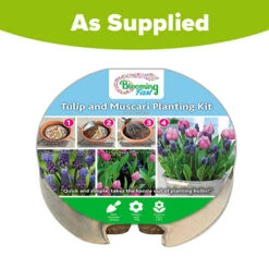 Blooming Fast Drop In Bulb Planter Tulip And Muscari Kit -You Garden 630187 4