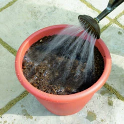 Blooming Fast Drop In Bulb Planter Tulip And Crocus Kit 8 Blooming Fast Drop In Bulb Planter Tulip And Crocus Kit -You Garden 630188 3