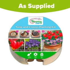 Blooming Fast Drop In Bulb Planter Tulip And Crocus Kit 9 Blooming Fast Drop In Bulb Planter Tulip And Crocus Kit -You Garden 630188 4