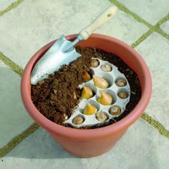 Blooming Fast Drop In Bulb Planter Narcissus And Muscari Kit 9 Blooming Fast Drop In Bulb Planter Narcissus And Muscari Kit -You Garden 630189 4