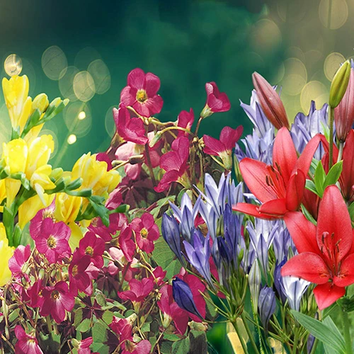 Summer Flowering Balcony Plant-O-Mat 2 Summer Flowering Balcony Plant-O-Mat - Image 2