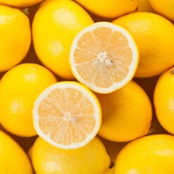 Large 'Eureka' Lemon Tree -You Garden 680020 2