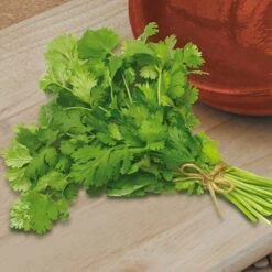 Herb Seed Collection 9 Herb Seed Collection -You Garden 700052 4