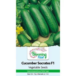 Premium Seed Collection -You Garden 700057 5